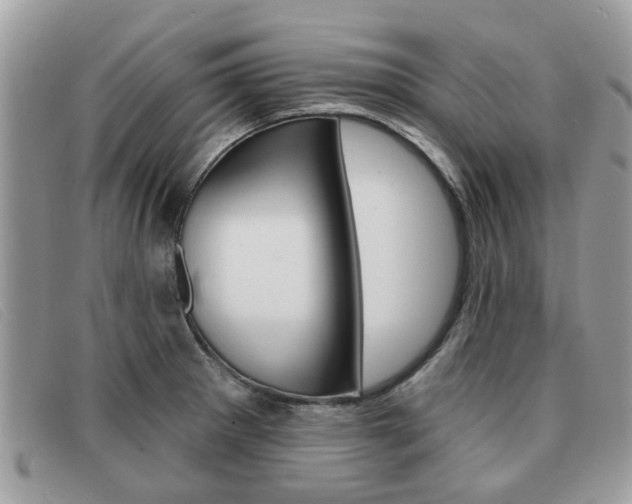 X0000091591281200708200943