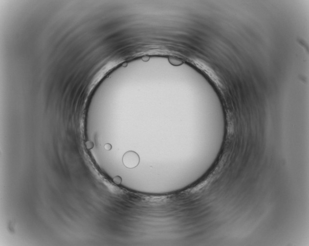 X0000091591282200708200943