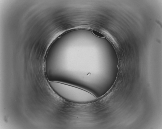X0000091591284200708200943