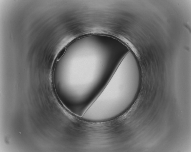 X0000091591285200708200943