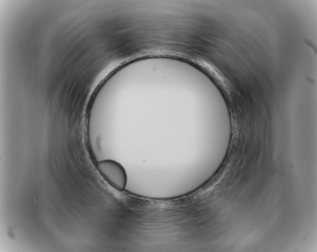 X0000091591286200708200943
