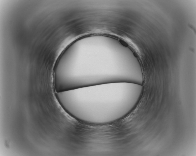 X0000091591287200708200943