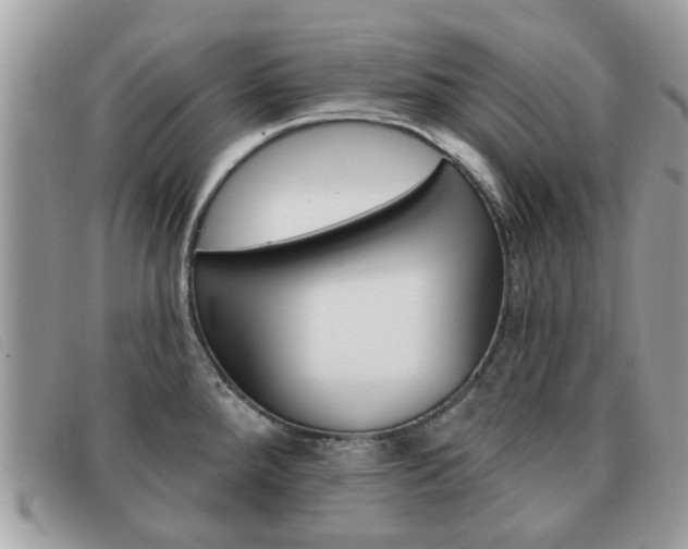 X0000091591288200708200943