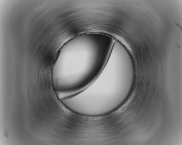 X0000091591289200708200943