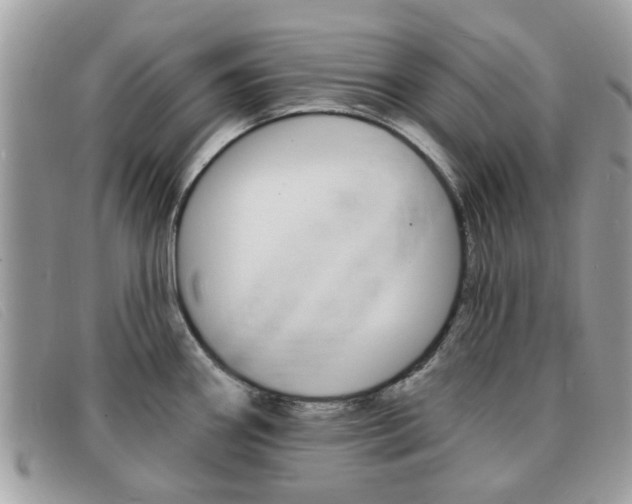 X0000091591290200708200943