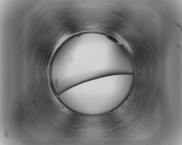 X0000091591291200708200943