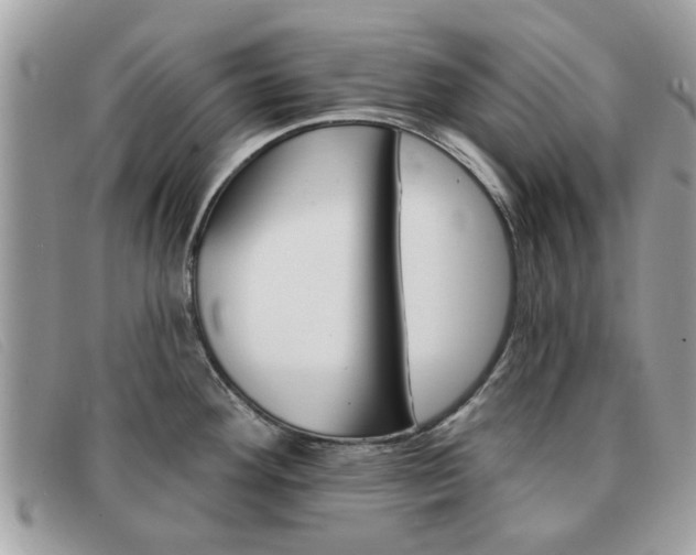 X0000091591292200708200943