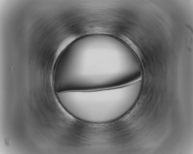 X0000091591293200708200943
