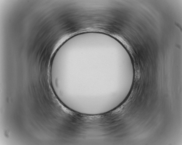 X0000091591294200708200943