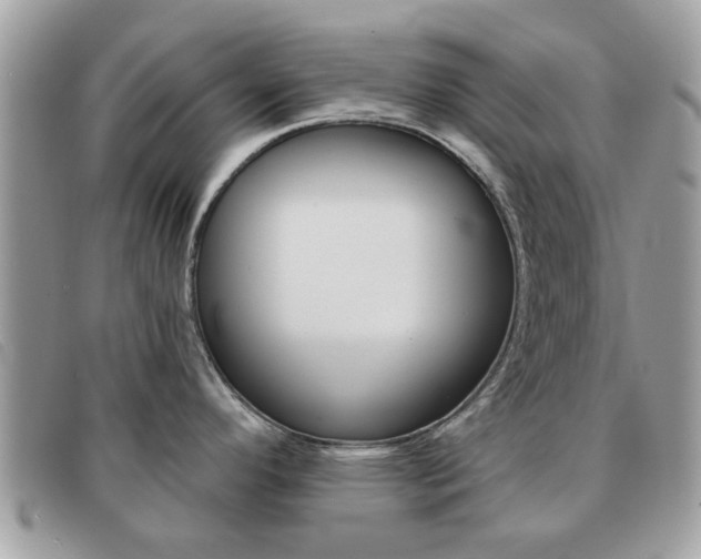 X0000091591296200708200943