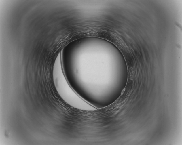 X0000091591298200708200942