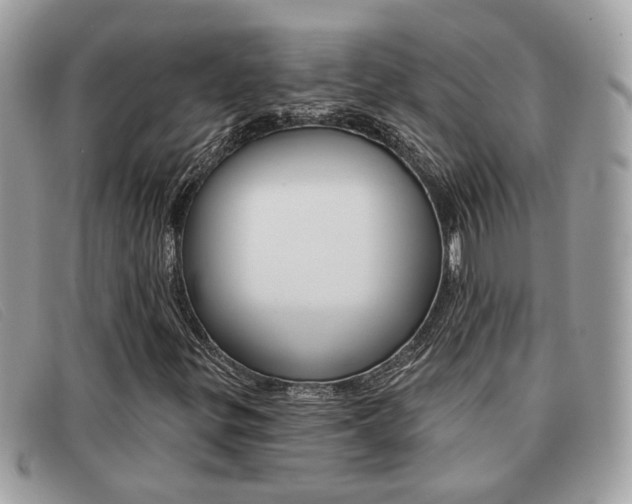 X0000091591299200708200942
