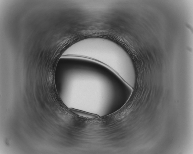 X0000091591300200708200942