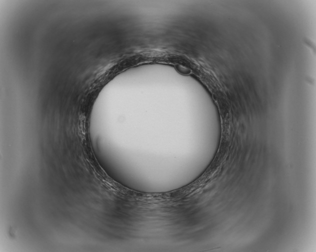 X0000091591301200708200942