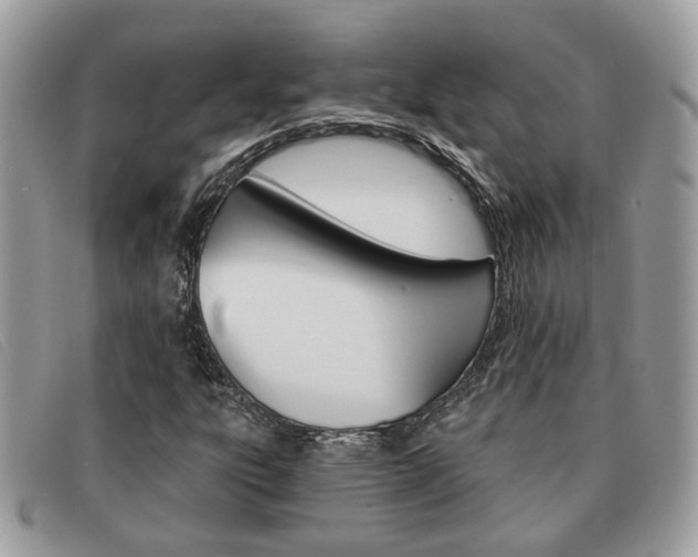 X0000091591303200708200942