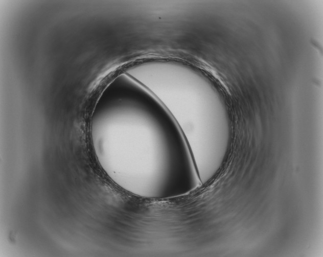 X0000091591304200708200942