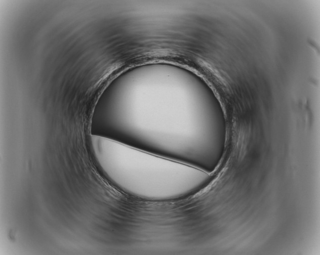 X0000091591305200708200942