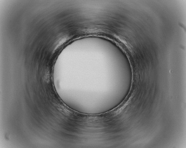 X0000091591306200708200942
