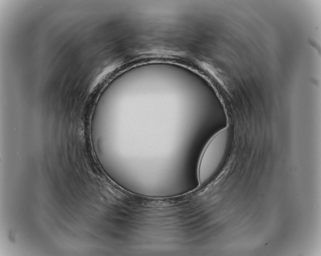 X0000091591307200708200942