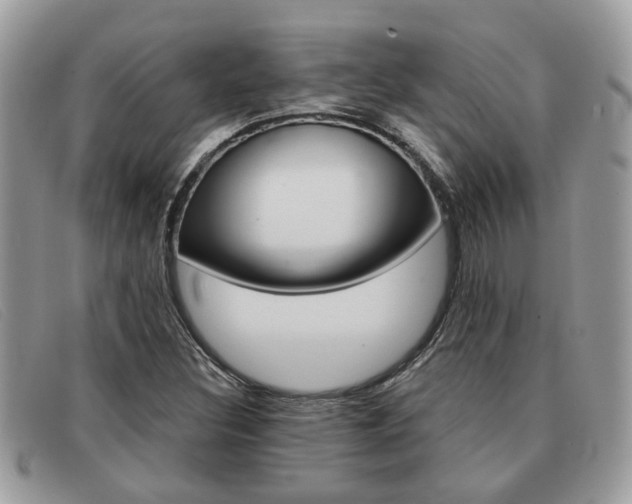 X0000091591308200708200943