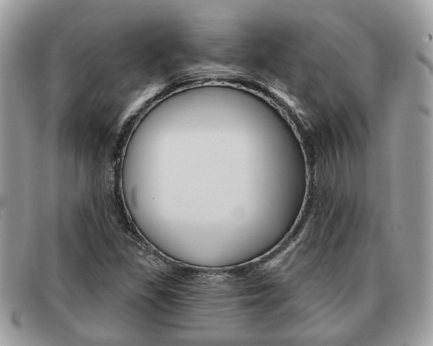 X0000091591309200708200943