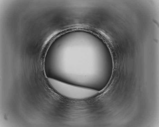 X0000091591310200708200943
