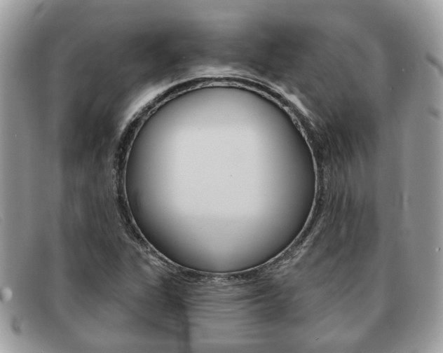 X0000091591311200708200943