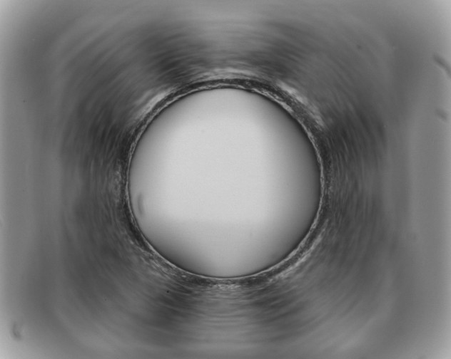 X0000091591313200708200943