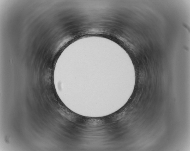 X0000091591314200708200943
