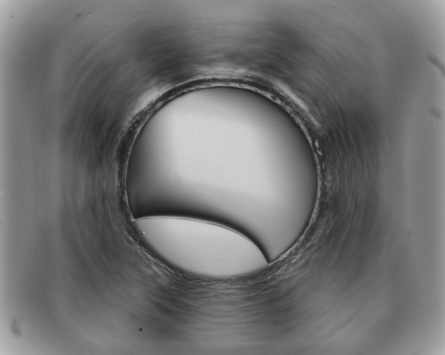 X0000091591315200708200943