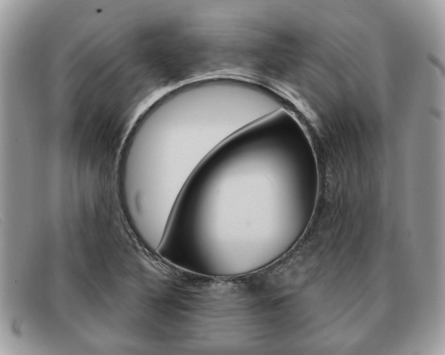 X0000091591316200708200943