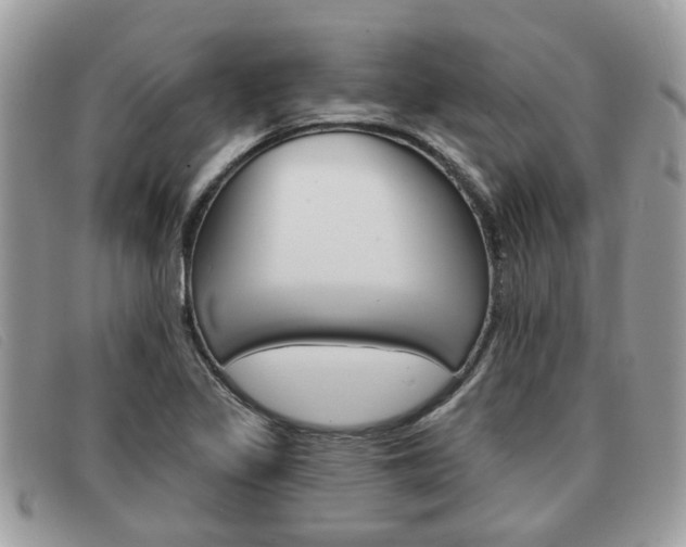 X0000091591317200708200943