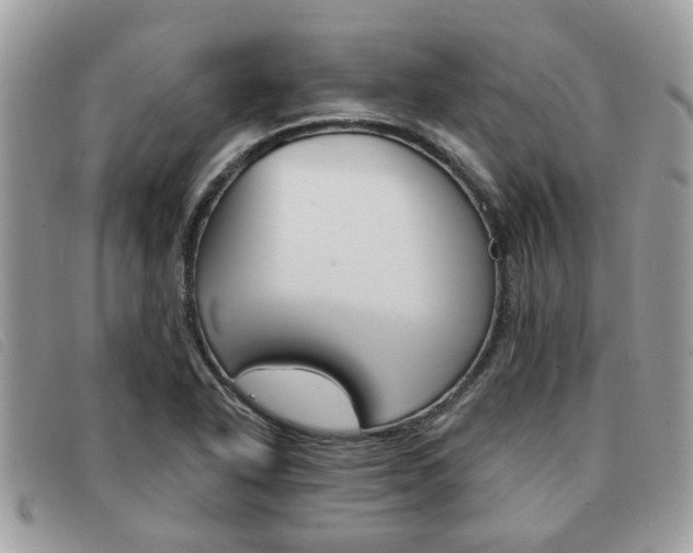 X0000091591318200708200943