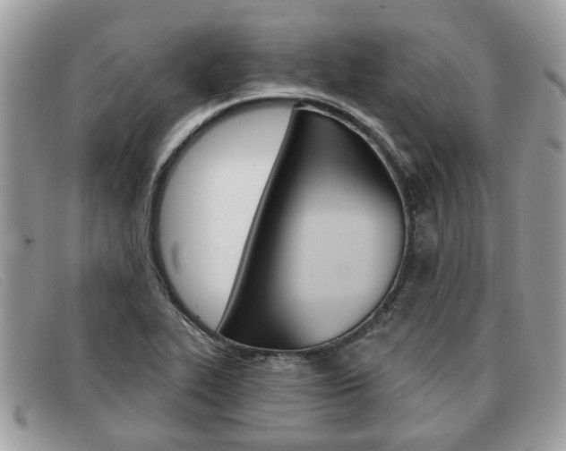 X0000091591319200708200943