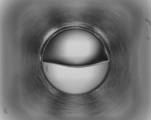 X0000091591320200708200943
