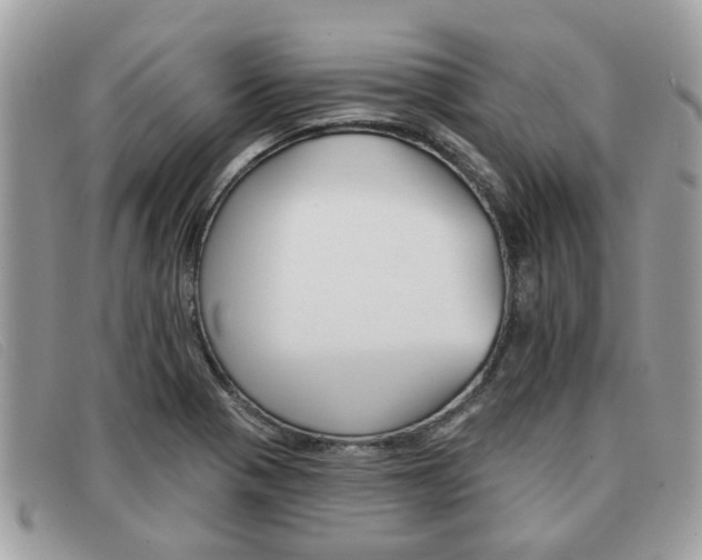 X0000091591321200708200943