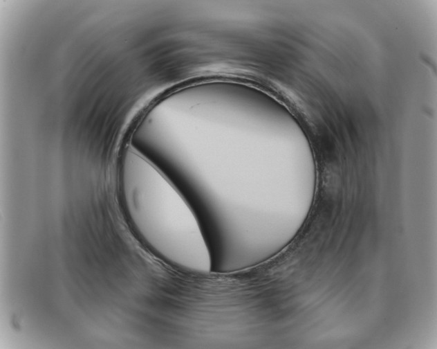 X0000091591323200708200943