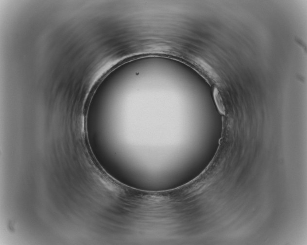 X0000091591324200708200943