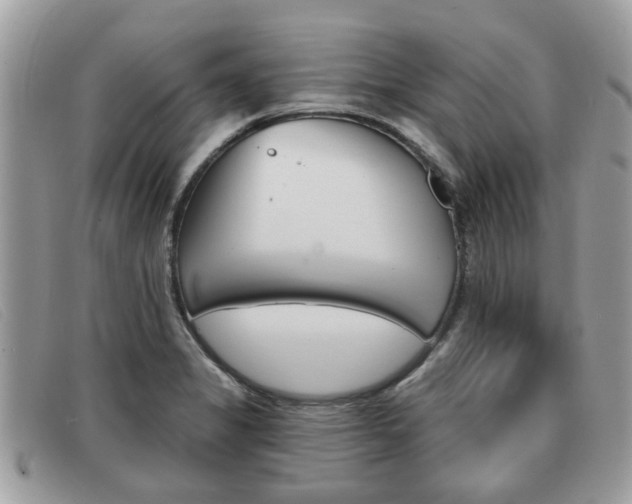X0000091591325200708200943