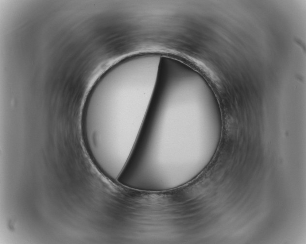X0000091591327200708200943