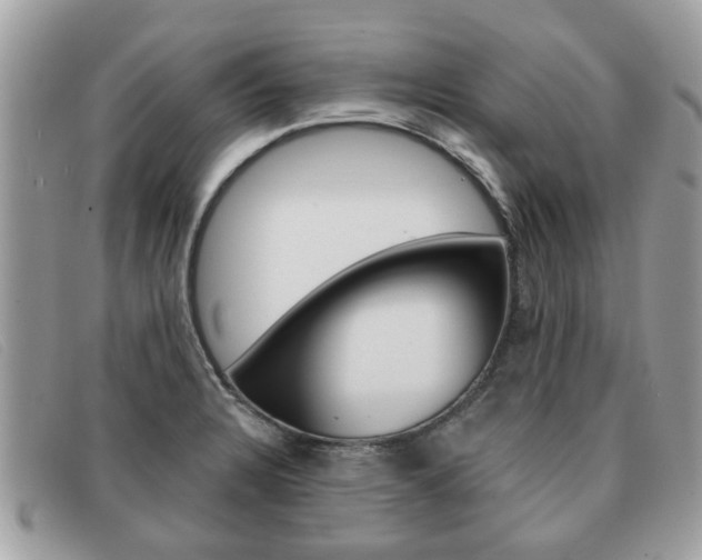 X0000091591328200708200943