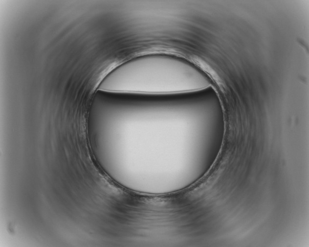X0000091591329200708200943