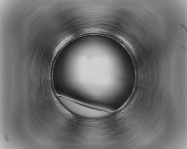 X0000091591330200708200943