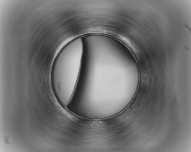 X0000091591331200708200943
