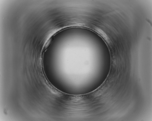 X0000091591332200708200943