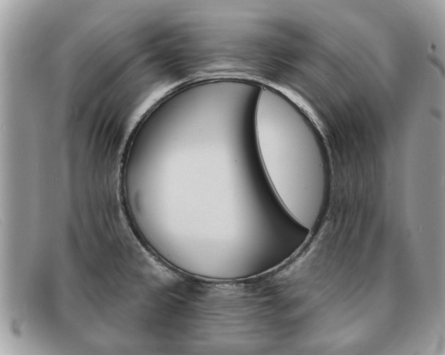 X0000091591333200708200943