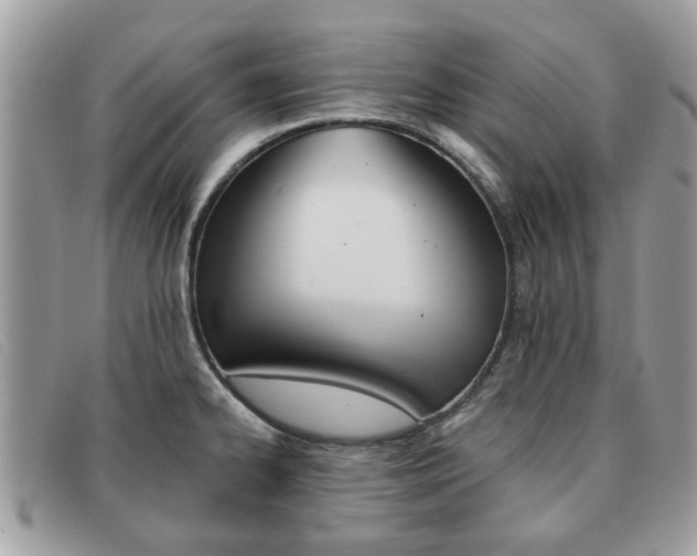 X0000091591334200708200943