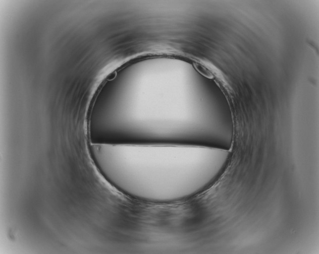 X0000091591335200708200943