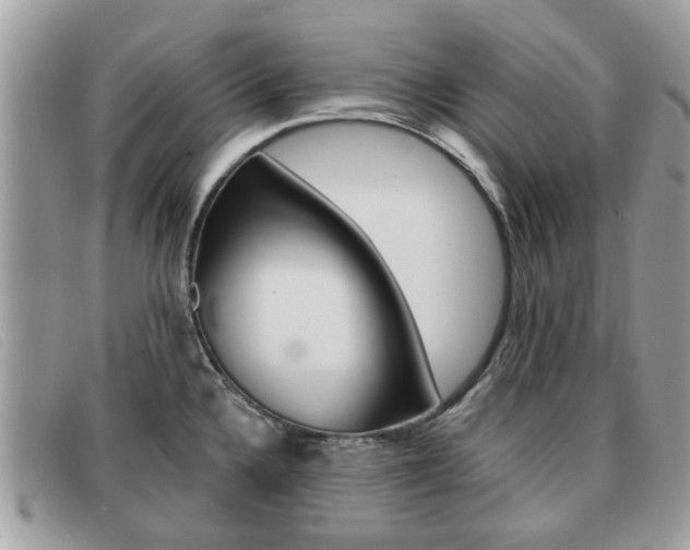 X0000091591336200708200943