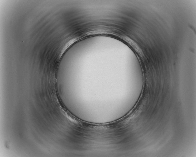 X0000091591337200708200943